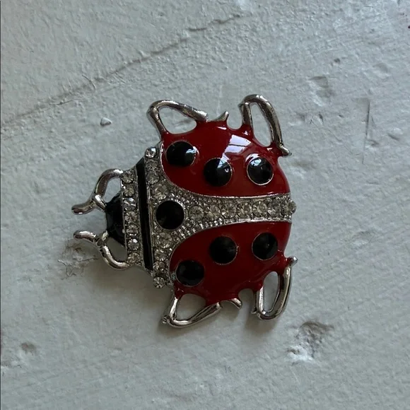 Red and Black Ladybug Brooch - Picture 5 of 5